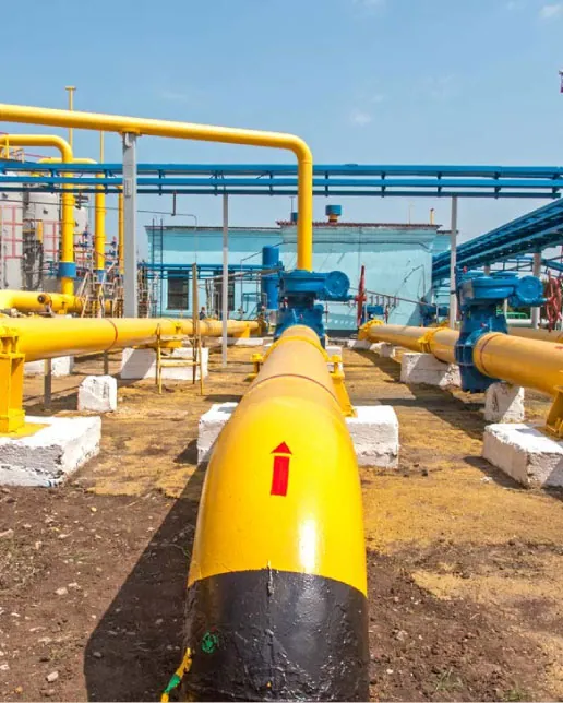 Barracuda industrial inspection services